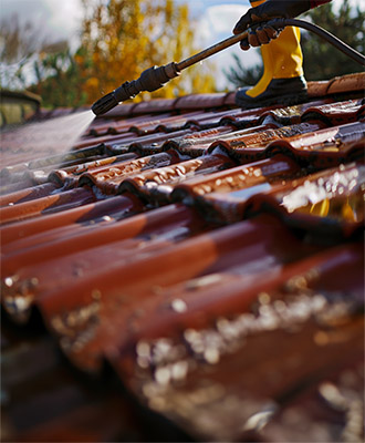 Roof cleaning